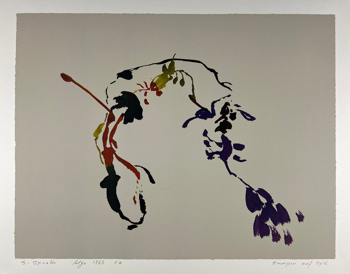 Sprotte, Siegward, Alge, Kampen auf Sylt, Serigraphie, Ed. ea, 48,2 x 63 cm