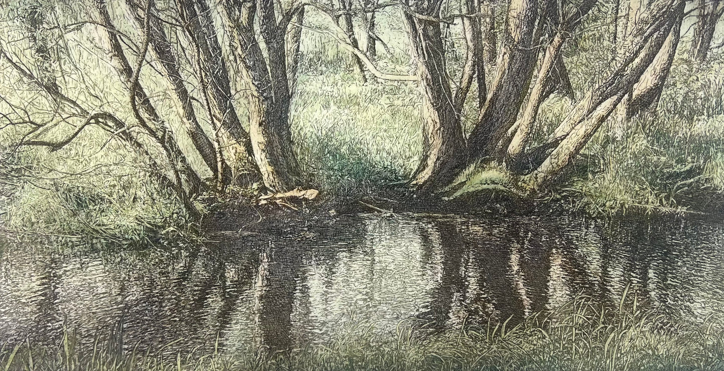 Wieland, Karl, Aue-Landschaft, 22 x 43cm, 1/35, Farbradierung, 2002