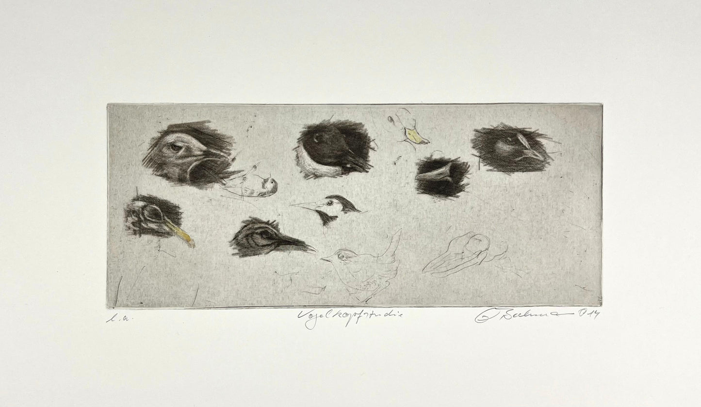 Beckmann, Otto, Vogelkopfstudie, 12,3 x 29,7cm, e.a., Radierung