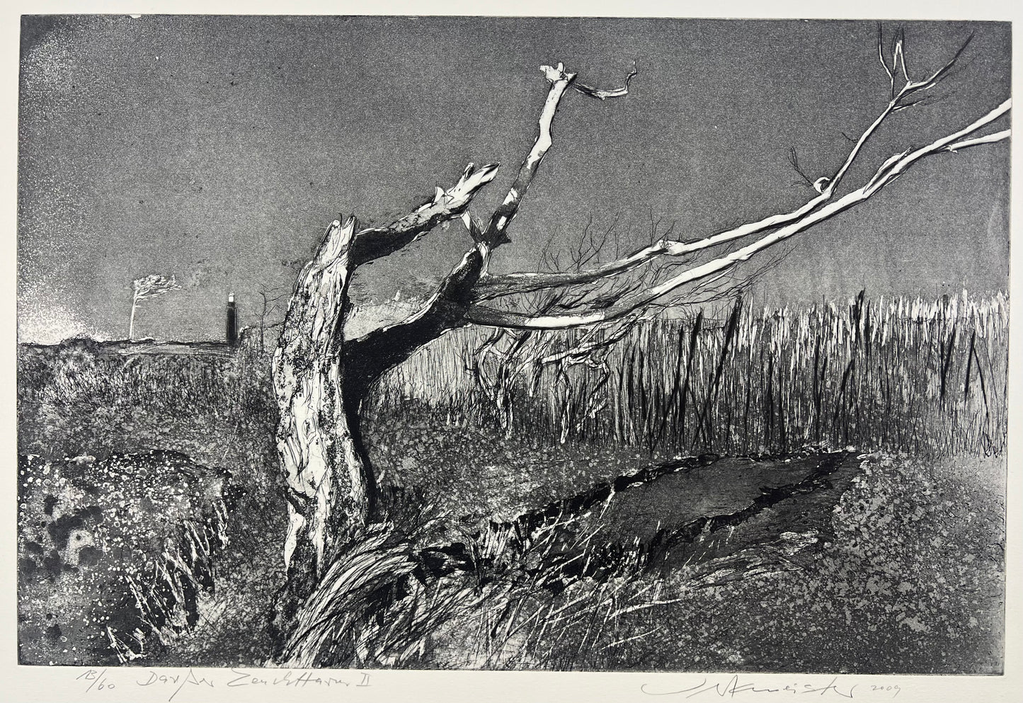 Werkmeister, Wolfgang, Darßer Leuchtturm II, 38x56,5cm, 13/60, Radierung, 2009