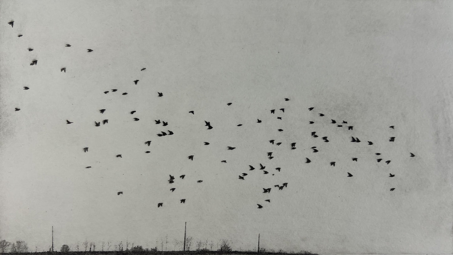 Dietrich, Nadine, Deichende, 15 x 26,5cm, 6/50, Photopolymer Etching