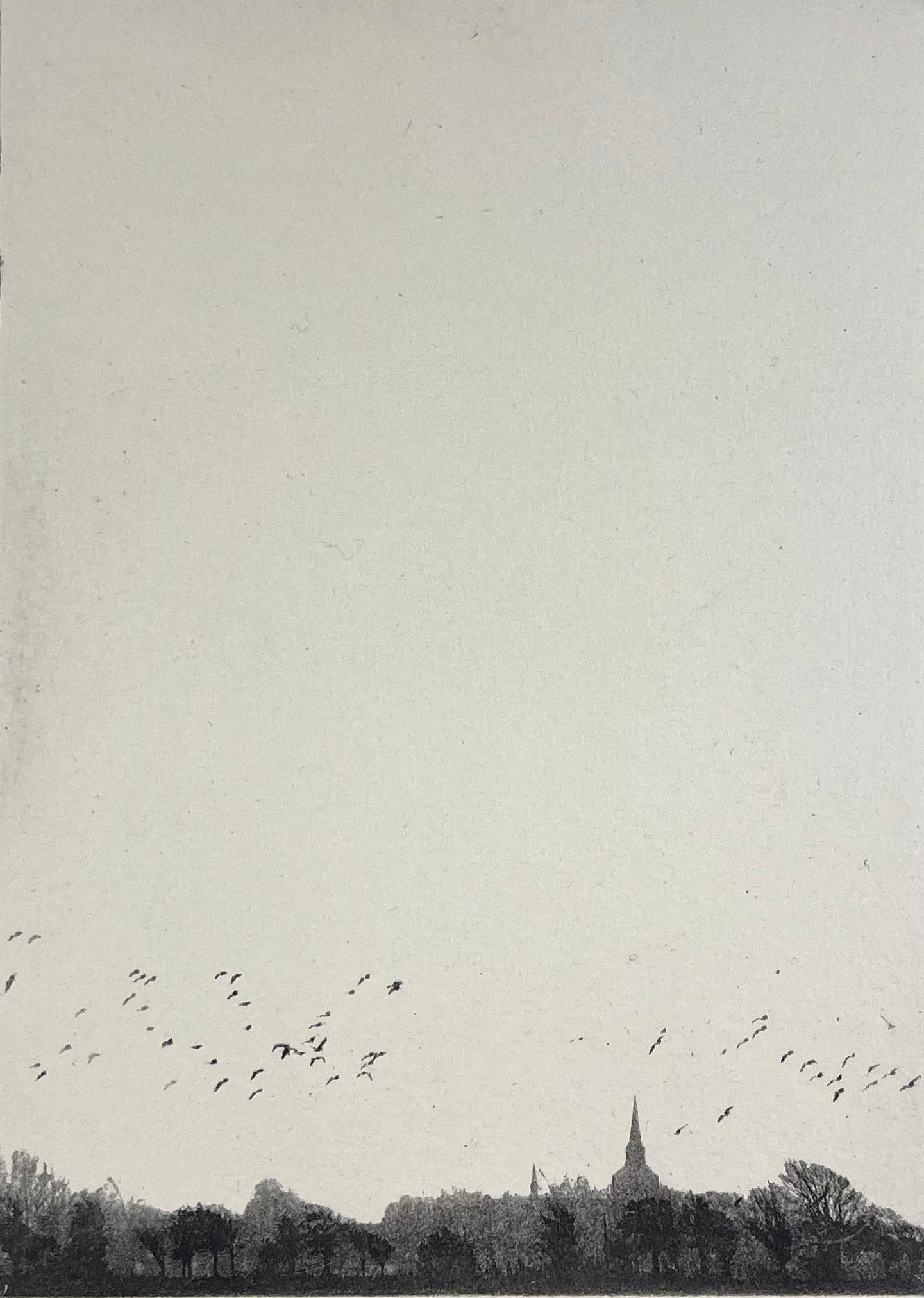 Dietrich, Nadine, Oldenswort, 20,5 x 15cm, 15/50, Photopolymer Etching