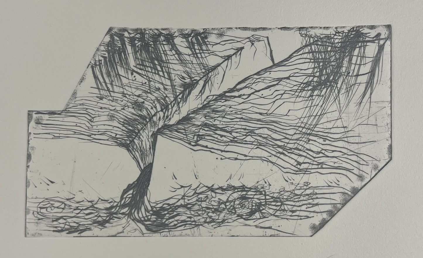 Droese, Felix, Silberrinne, 14 x 24cm, 37/100, Radierung