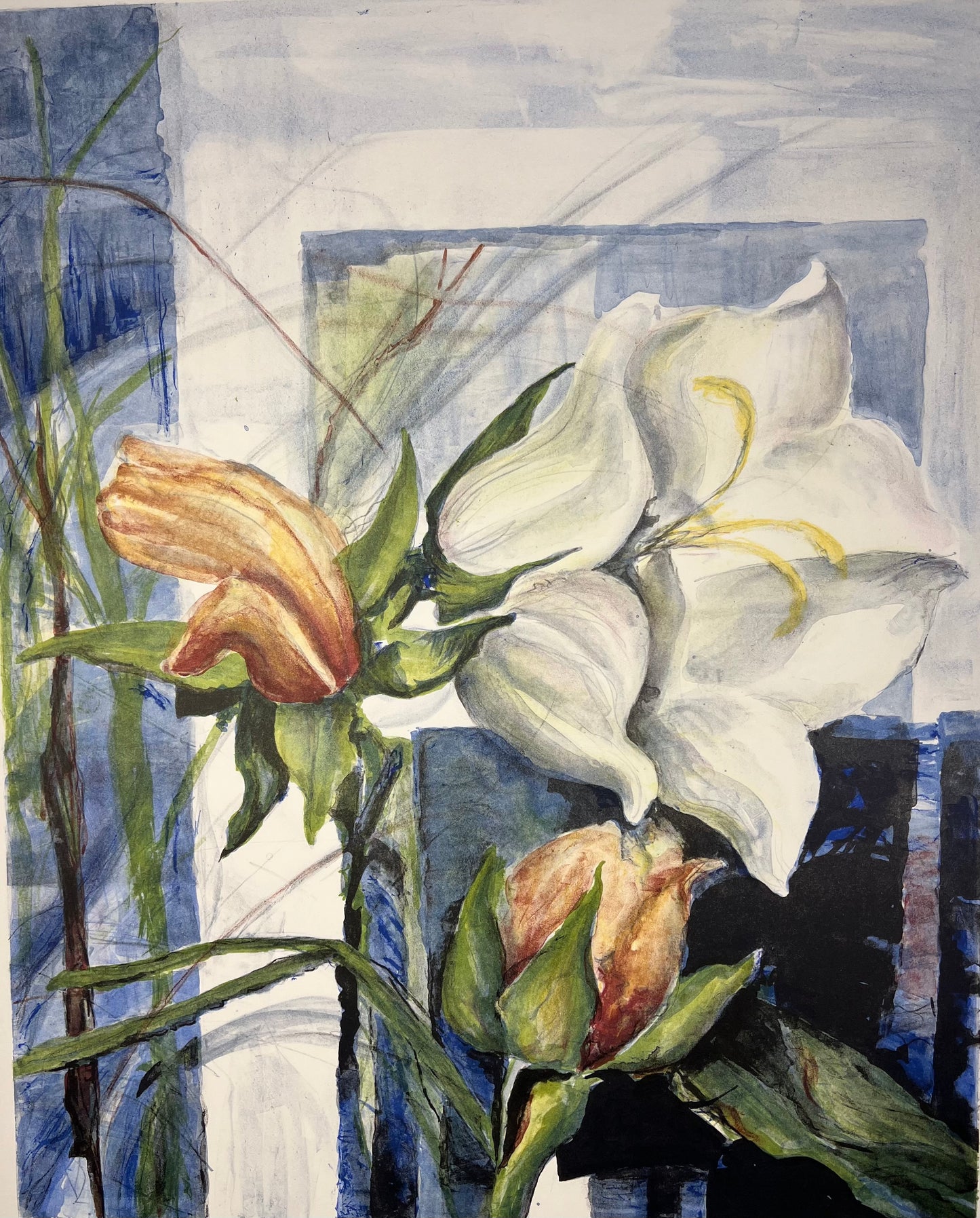Nietzer, Gerda, Glockenblume, 74,7 x 57,8cm, Lithografie