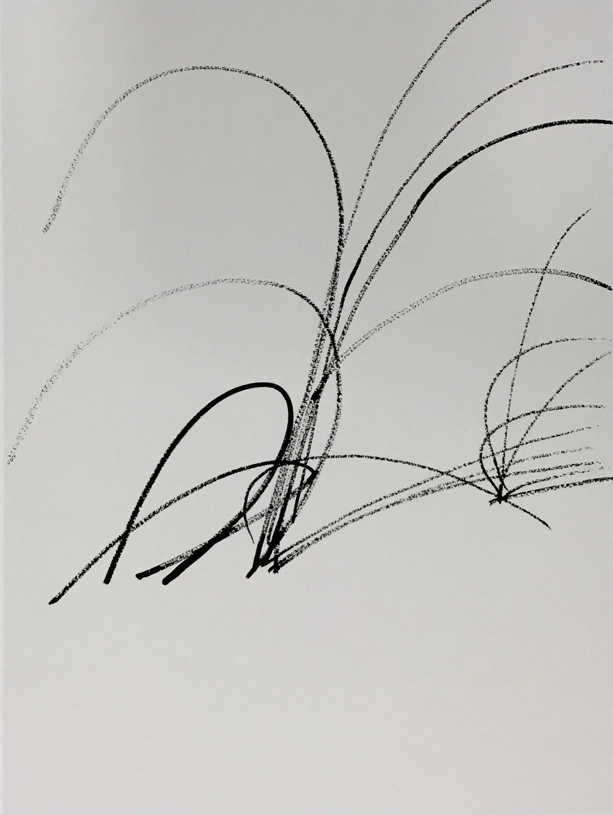 Sprotte, Siegward, Gräser, 50,5 x 38cm, 171/300, Seriegraphie, 1988