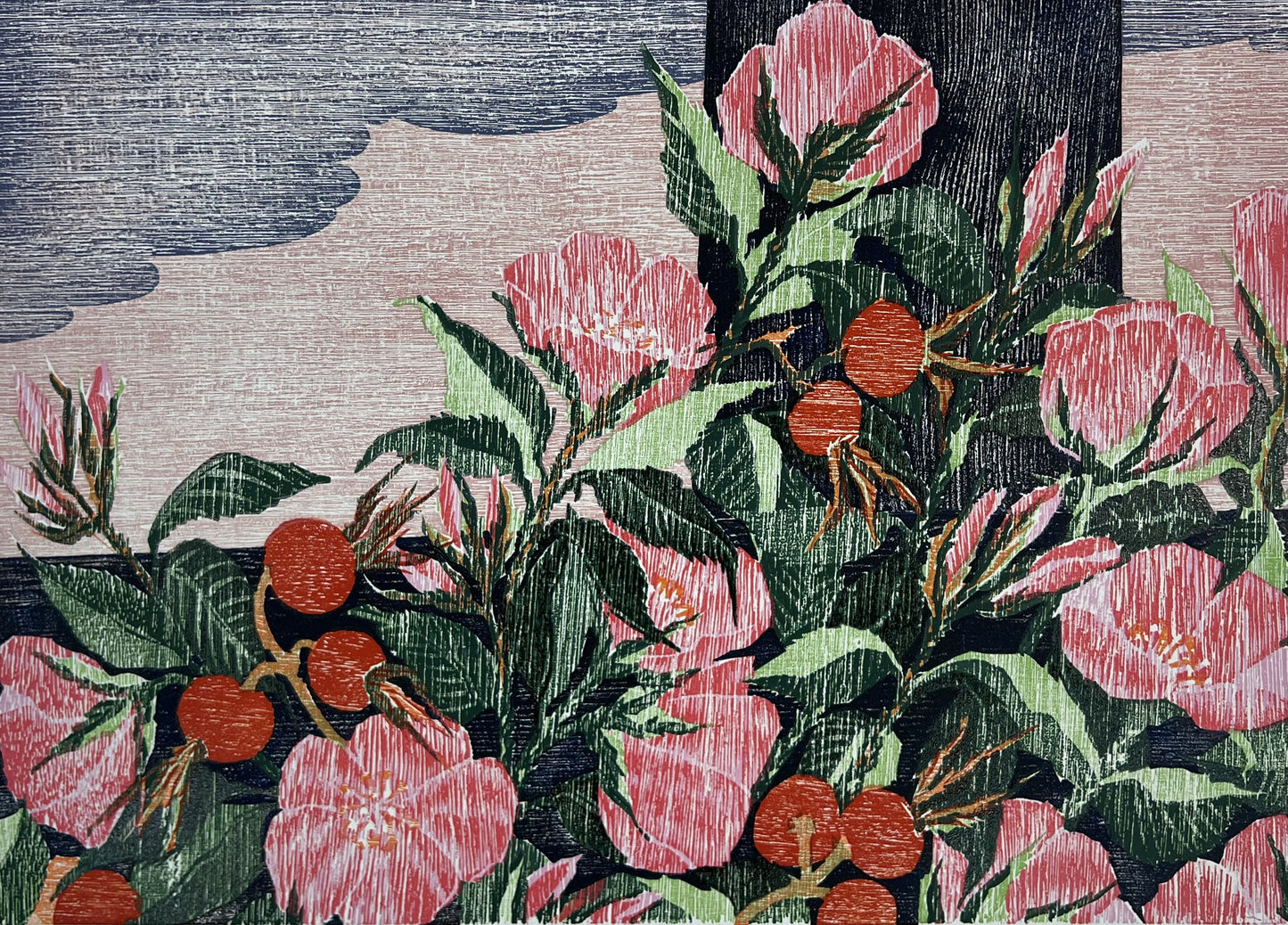 Hermanns, Gerhard, Hagebutten, 28,5 x 40cm, VIII/XV, Holzschnitt, 1986