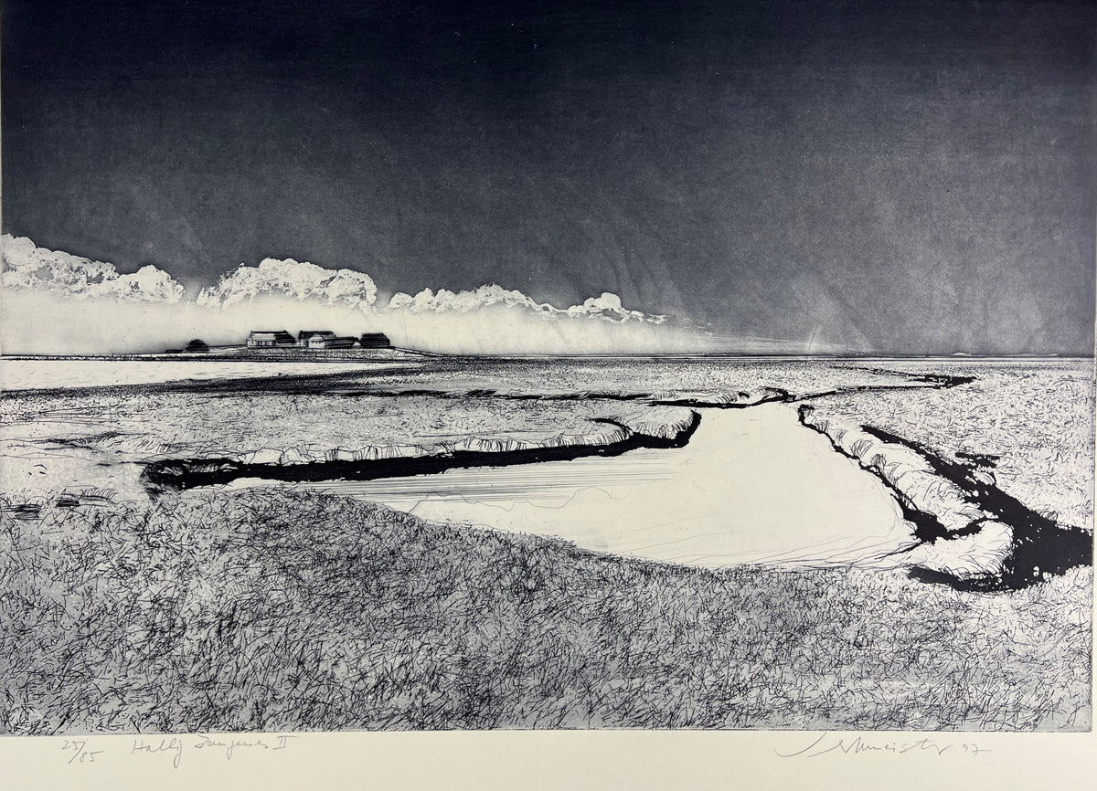 Werkmeister, Wolfgang, Hallig Langeness II, 60 x 78cm, 25/85, Radierung, 1997