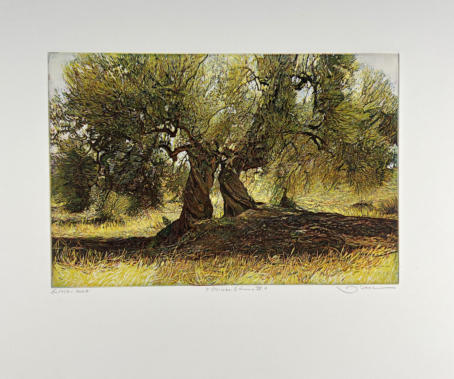 Hermann, Günther, Olivenbäume IV, 20 x 30cm, Farbradierung