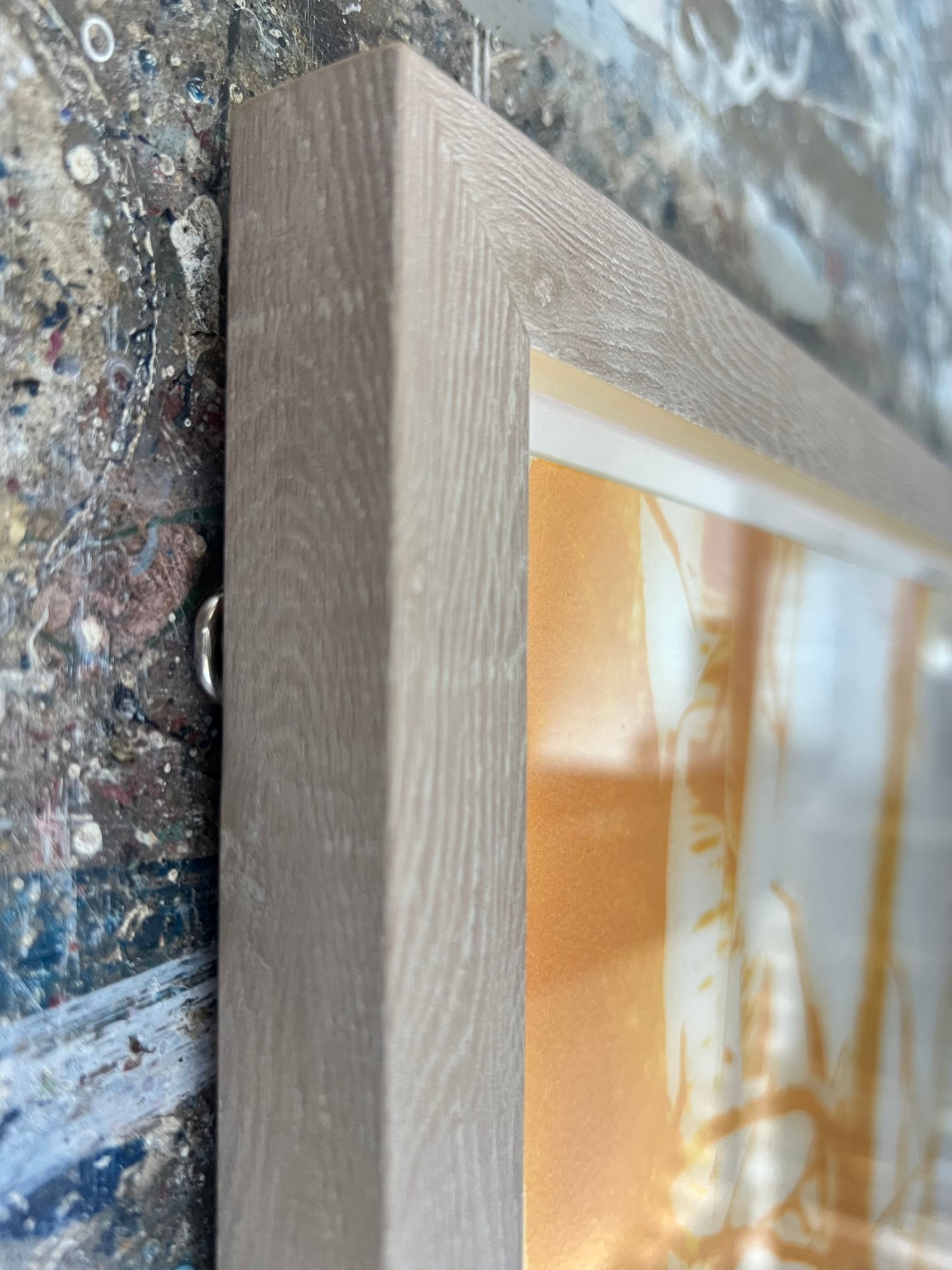 Holstein, Bent, Golden Locust Tree, 60 x 98cm, 68/99, Farblithografie