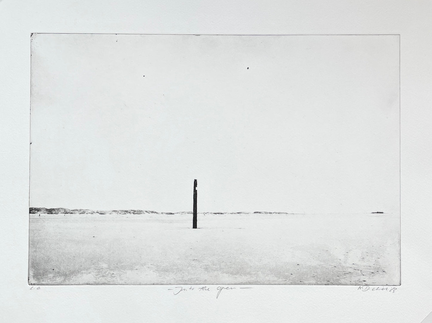 Dietrich, Nadine, Into the open, Ed. e.a., Photopolymer Etching, 26,7 x 39,5 cm