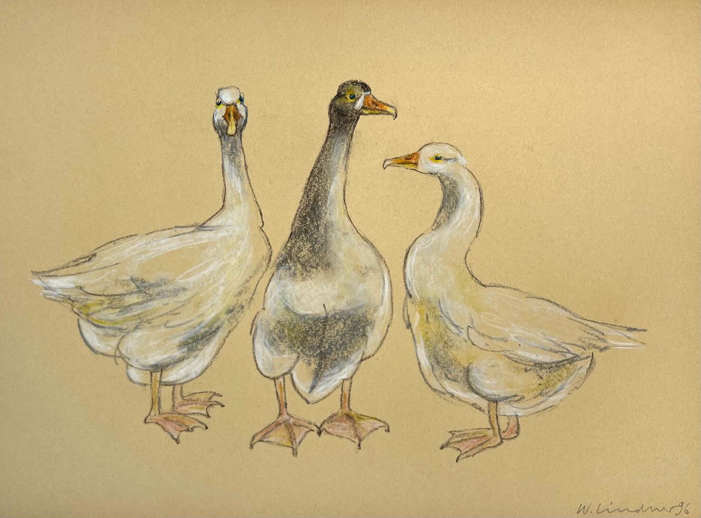Lindner, Walter, 3 Gänse, 30 x 39,5cm, Zeichnung