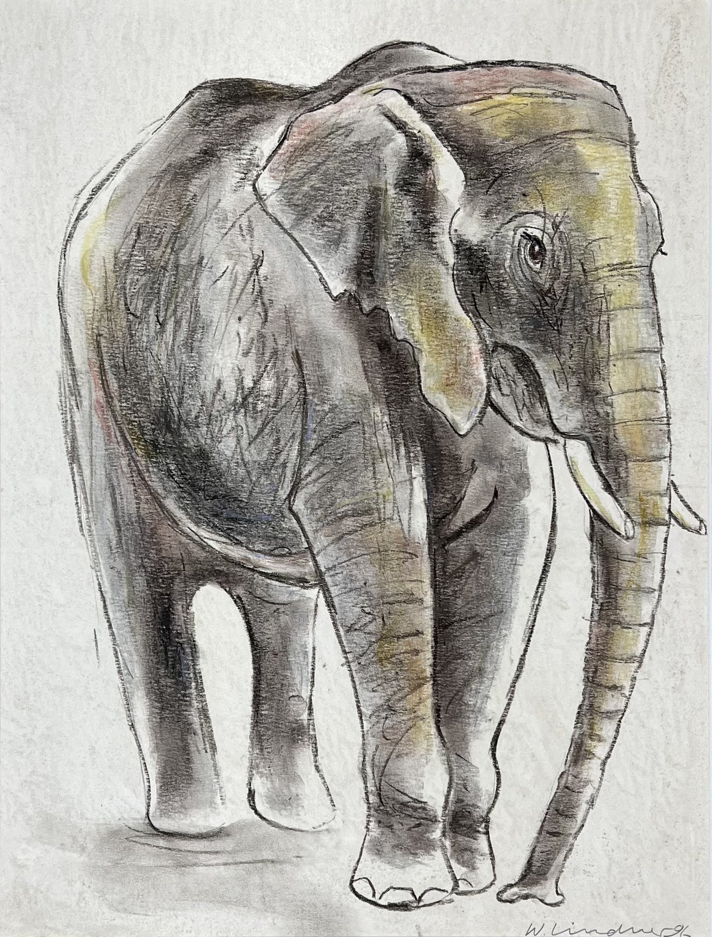 Lindner, Walter, Elefant, 30 x39,5cm, Pastell