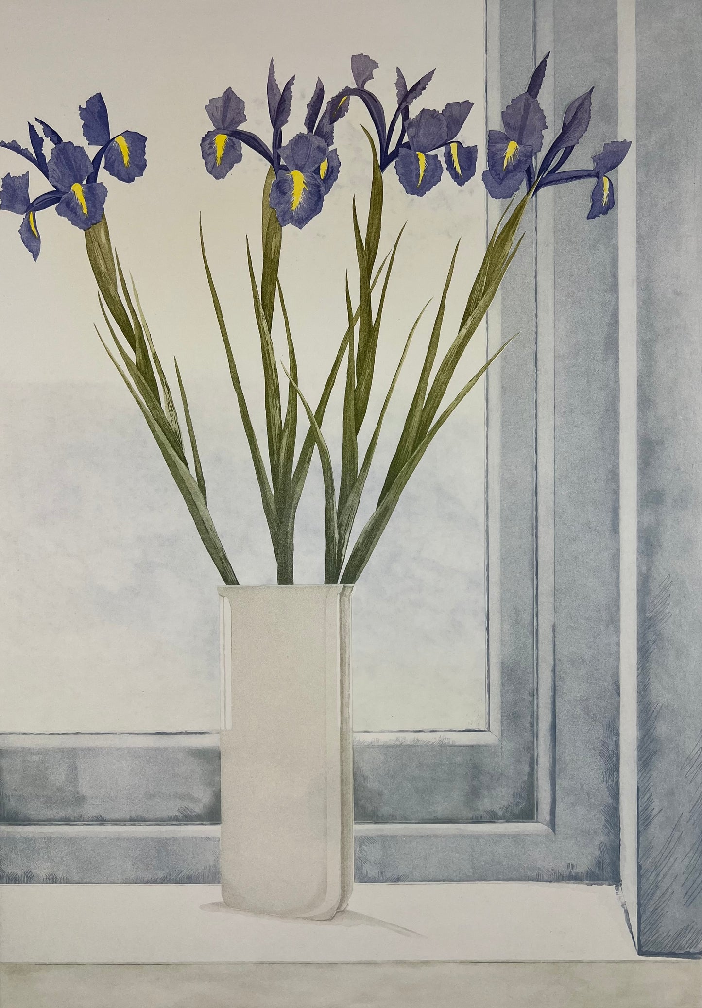 McNulty, Irises, 55,5 x 39cm, 50/200, Radierung