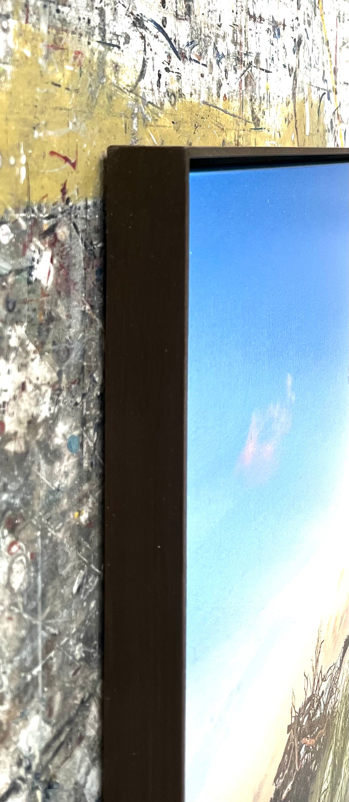Reinstadler, Mario, Nationalpark Darß im Weststrand, 55 x 90cm, 01/50, Pigmentdruck