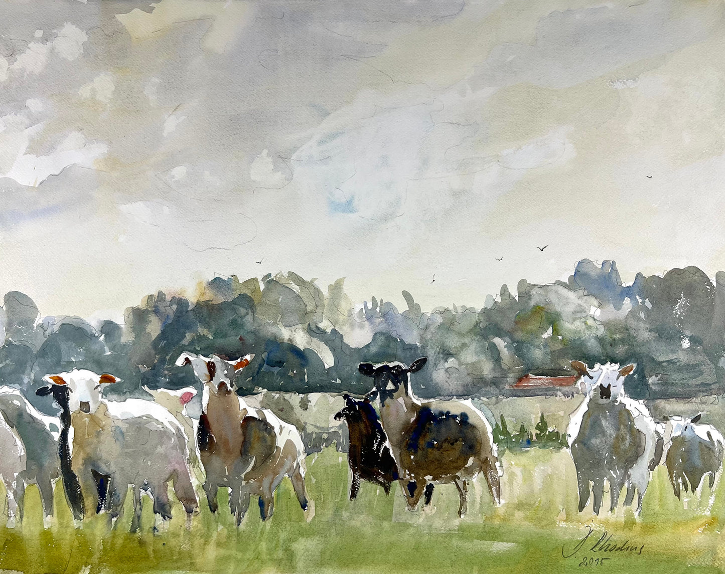 Rhodius, Detlef, Schafe, 49 x 62,5cm, Aquarell, 2015