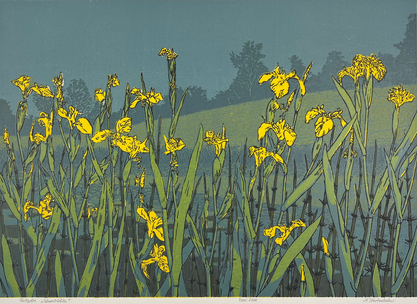Störtenbecker, Nikolaus, Schwertlilien, November 2000, Farbholzschnitt, 45 x 63 cm