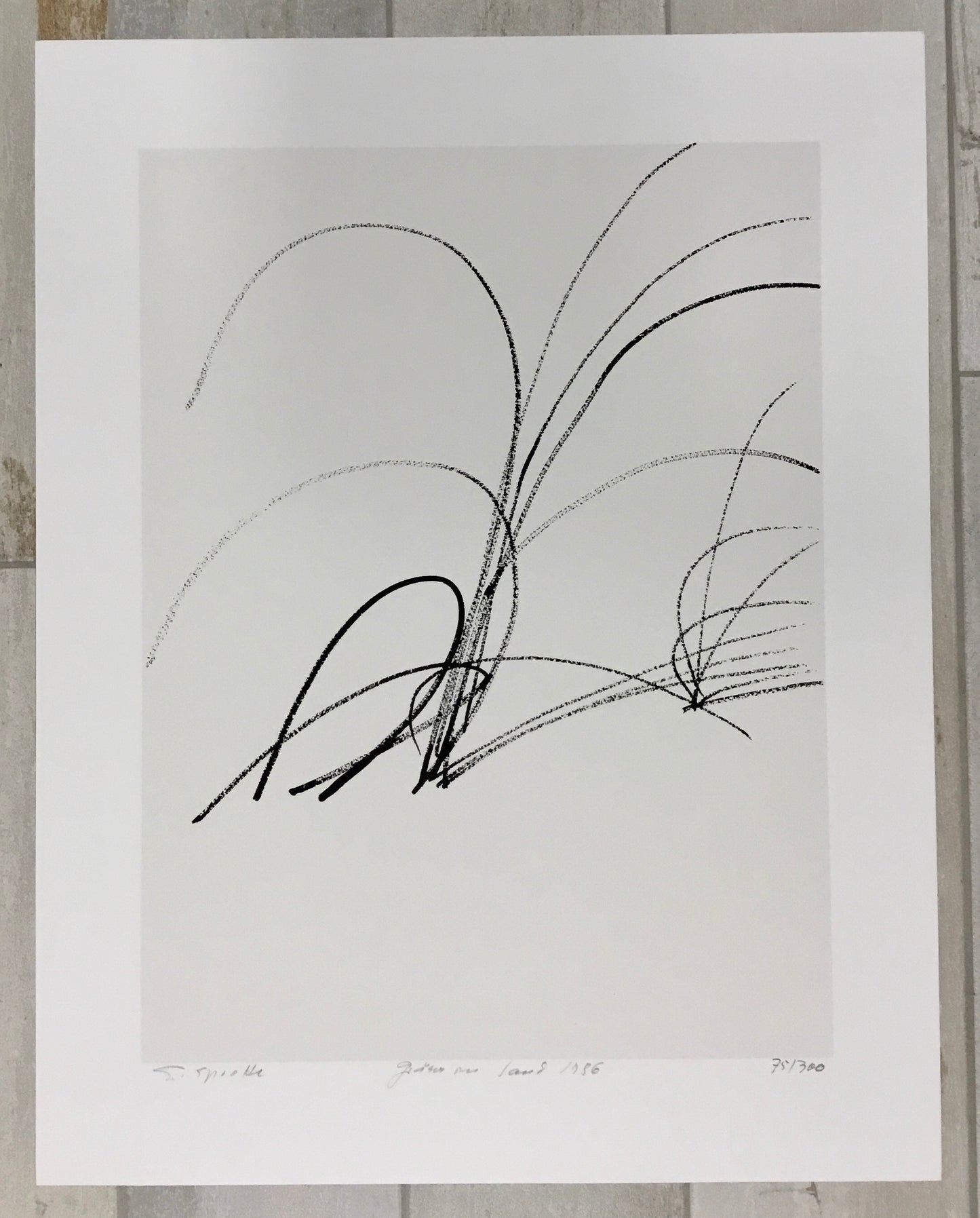 Sprotte, Siegward, Gräser im Sand 1988, Serigraphie sign. + num. Auflage 170/300