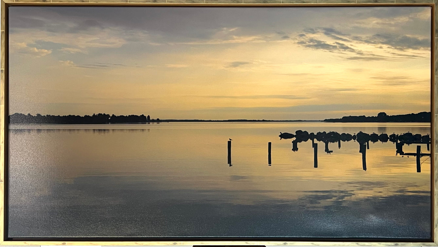 Reinstadler, Mario, Sommermorgen bei Schleswig, 57 x 110cm, 17/50, Pigmentdruck