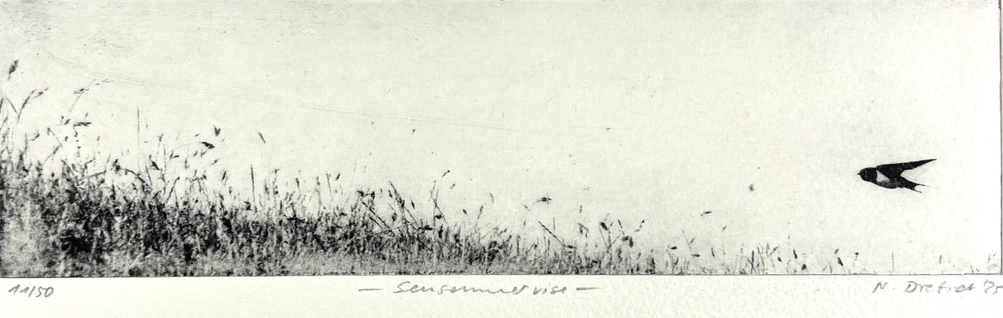 Dietrich, Nadine, Sensommervise, 6,5 x 23,8cm, 11/50, Photopolymer Etching
