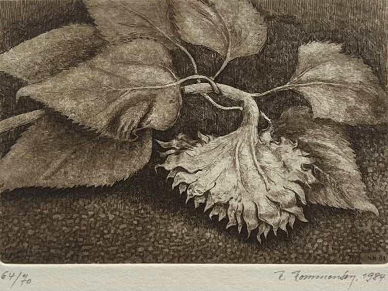 Nommensen, Niko, Sonnenblume, 30,5 x 26,5cm, 64/70, Radierung, 1984