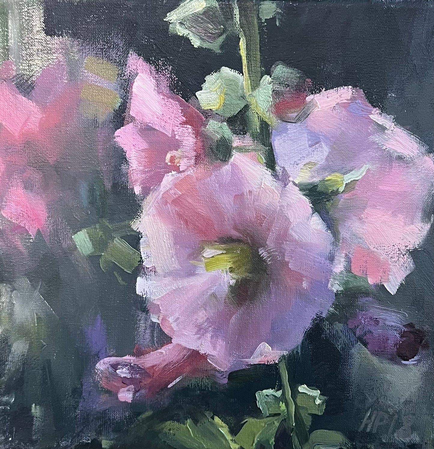 Petermann, Hanna, Stockrosen, 20 x 20cm, Öl auf Leinwand, 2018