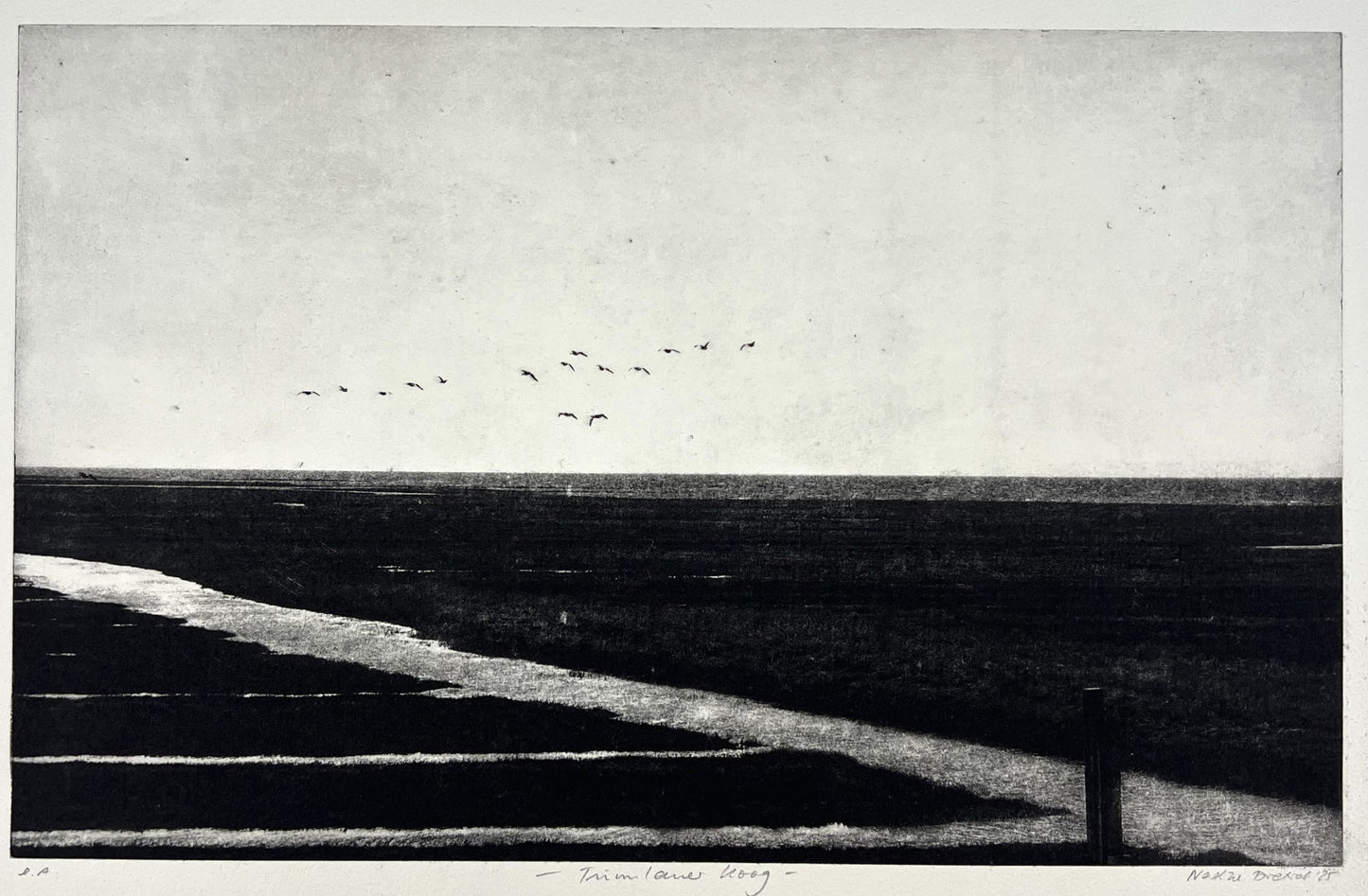 Dietrich, Nadine, Tümlauer Koog, 24,9 x 39,5cm, e.a., Photopolymer Etching