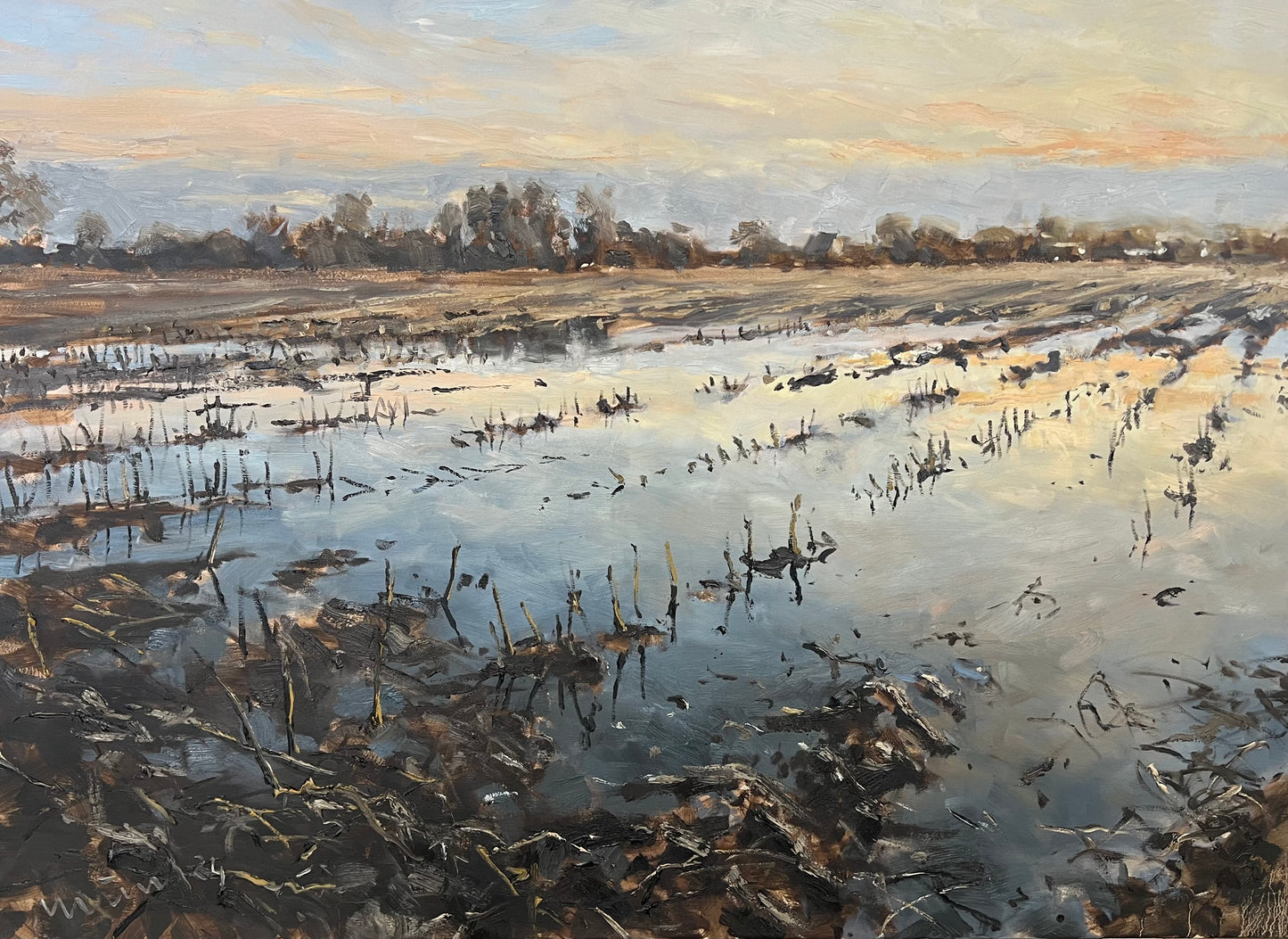 Meinel, Mathias, Überschwemmtes Feld III, 80 x 110cm, Öl auf Leinw., 2024