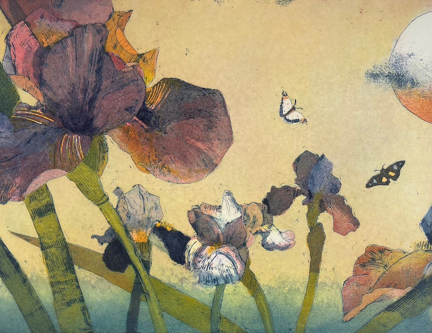 Votteler, Jutta, Blaue Iris, 29,5 x 39,7cm, 66/150, Farbradierung