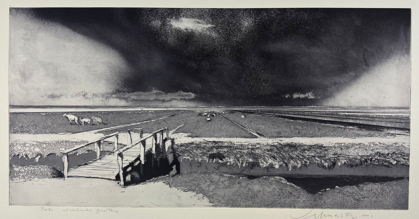 Werkmeister, Wolfgang, Abziehendes Gewitter, 30 x 60cm, Westküstenzyklus II, Radierung