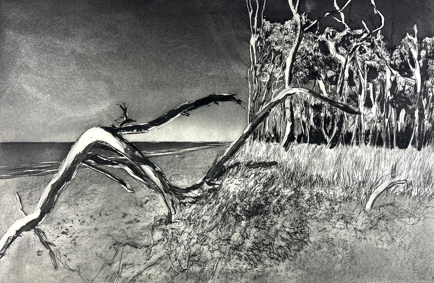 Werkmeister, Wolfgang, Darß XX, 38,5 x 58cm, Ostküstenzyklus, Radierung