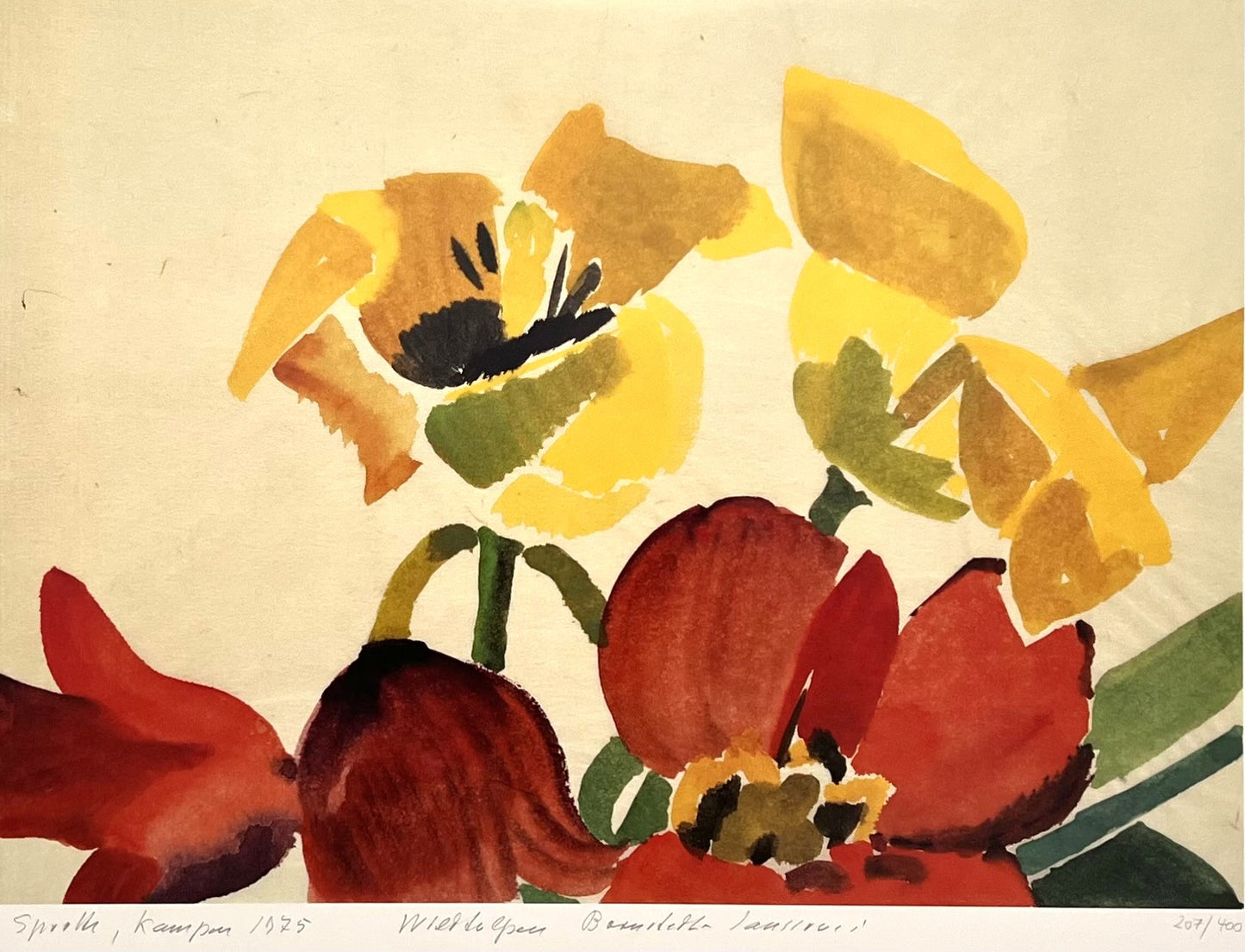 Sprotte, Siegward, Wildtulpen, Bornstedt, 45,5 x 62,5cm, 207/400, Serigraphie, 1975