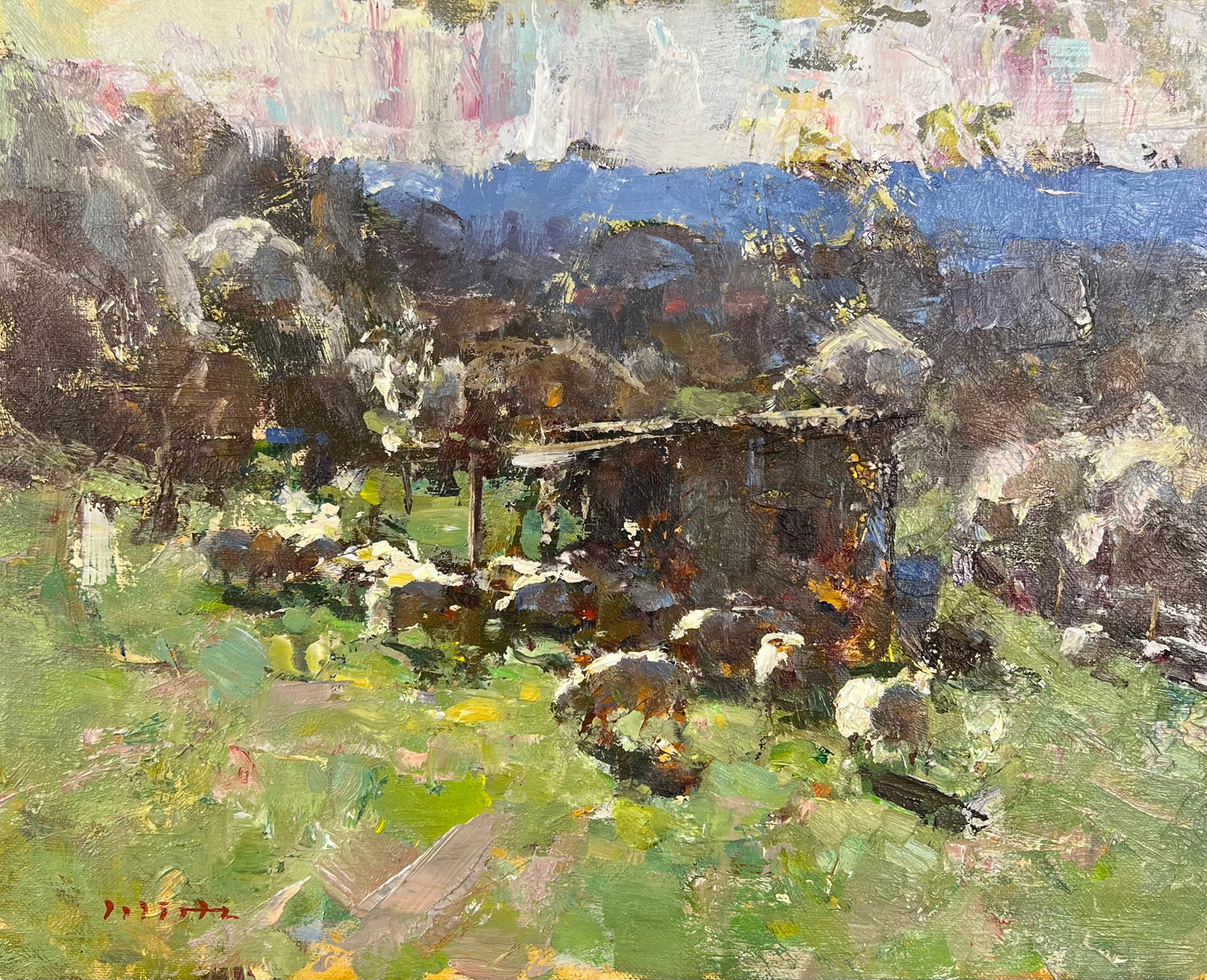 Wirtz, Björn, Frühling bei den Schafen, 24 x 30cm, Ölgemälde