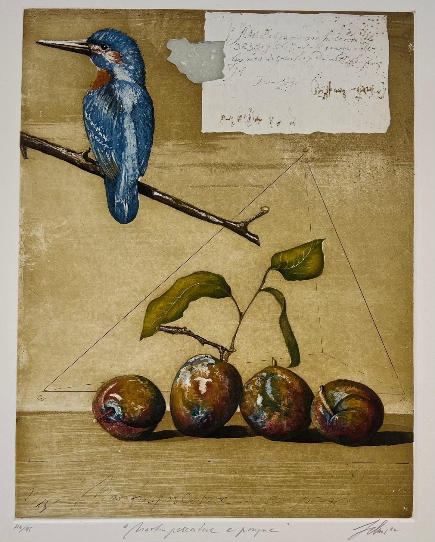 Zelmer, Wolfgang, Martinpescator e prugne, 64 x 54cm, Farbradierung