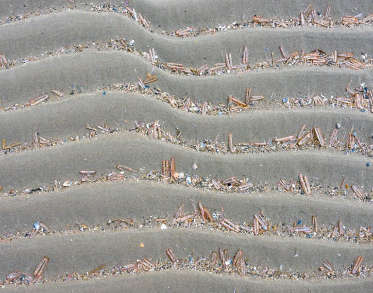 Reinstadler, Mario, Minitreibgut der Nordsee, 55 x 70cm, 13/55,