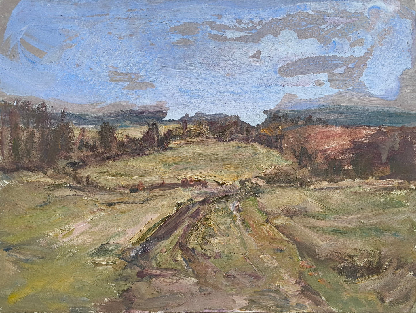Weiner, Corinna, Abendhimmel, 60 x 80cm, Öl auf Leinwand, 2018