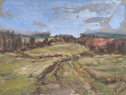 Weiner, Corinna, Abendhimmel, 60 x 80cm, Öl auf Leinwand, 2018