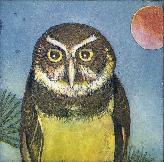 Votteler, Jutta, Abendkauz, 13 x 13cm, 35/150, Farbradierung