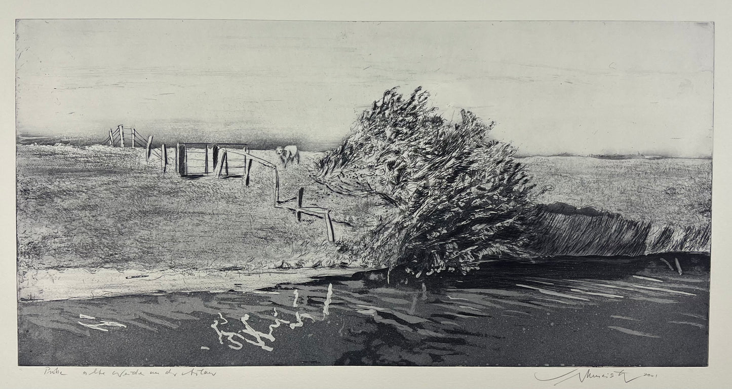 Werkmeister, Wolfgang, Alte Weide a.d.Arlau, 30 x 60cm, Westküstenzyklus II, Radierung