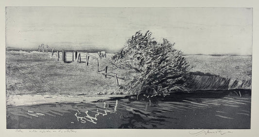 Werkmeister, Wolfgang, Alte Weide a.d.Arlau, 30 x 60cm, Westküstenzyklus II, Radierung