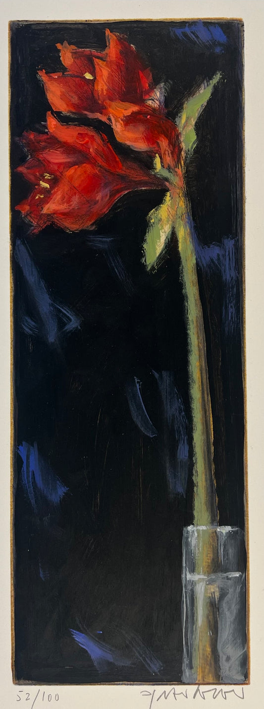 Wever, Peter, Amaryllis auf schwarzem Hintergrund, 39,8 x 14cm, 52/100, Radierung