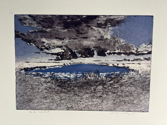 Werkmeister, Wolfgang, An der Wehle II, e.a., 38 x 51cm, Radierung, 1995