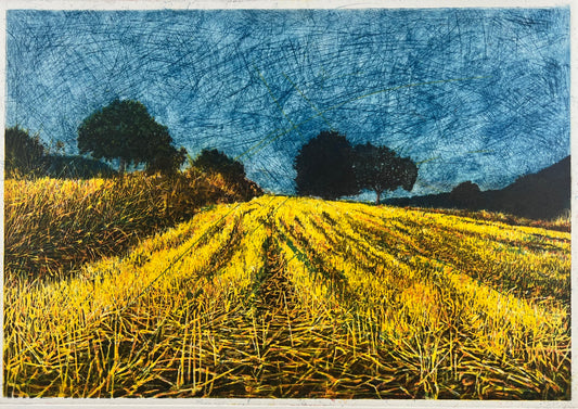 Andruchowicz, Dietlinde, Abgeerntet abends, 41,2 x 59,2cm, 45/120, Radierung