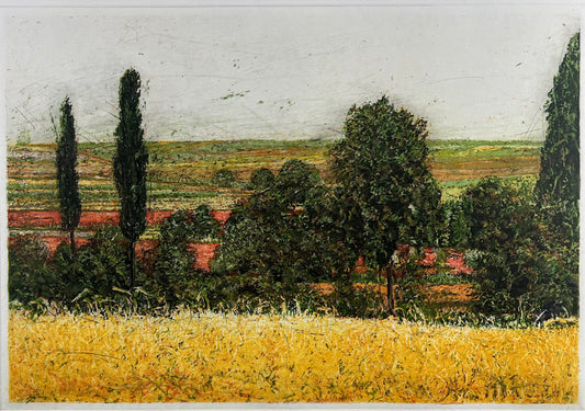 Andruchowicz, Dietlinde, Felder, 40,7 x 59,3cm, 58/100, Radierung