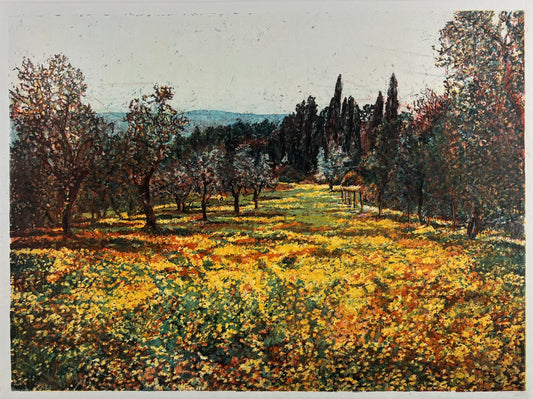 Andruchowicz, Dietlinde, Ölbäume usw, 37,5 x 50,5cm, 102/120, Radierung