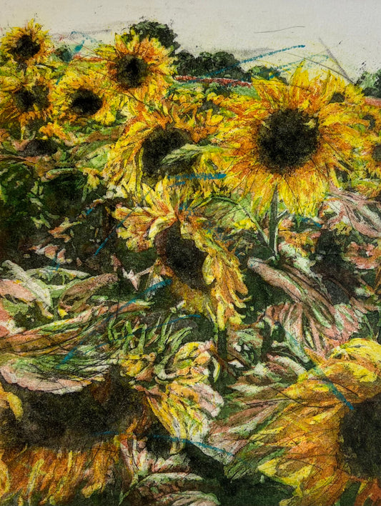 Andruchowicz, Dietlinde, Blüten usw, 22,7 x 17,7cm, 52/150, Radierung