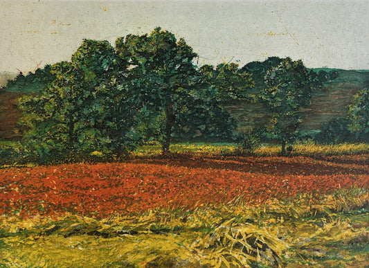 Andruchowicz, Dietlinde, Italienischer Mohn, 28,8 x 39,2cm, 79/90, Radierung