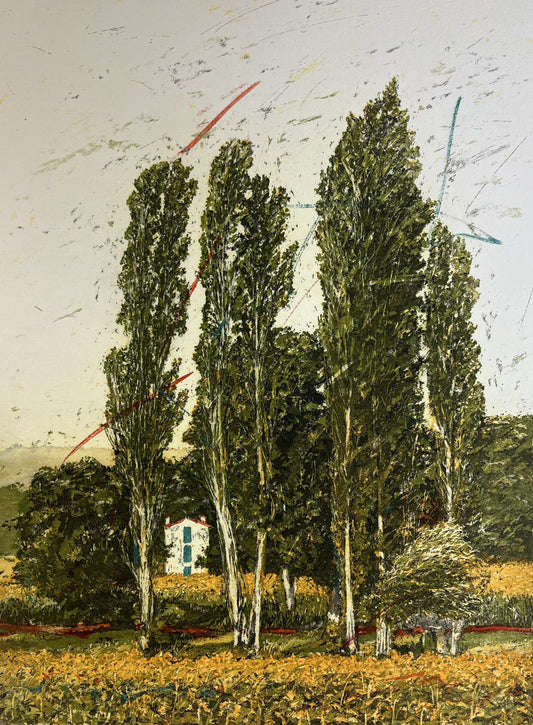 Andruchowicz, Dietlinde, Sommerpappeln, 31,5 x 42,2cm, e.a., Radierung