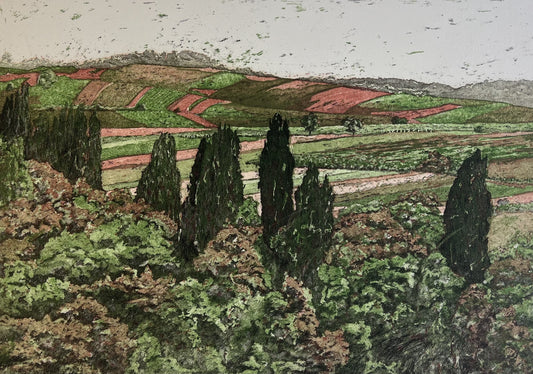 Andruchowicz, Dietlinde, Pappellandschaft, 24,7 x 34,5cm, 23/90, Radierung