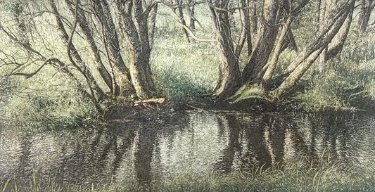 Wieland, Karl, Aue-Landschaft, 22 x 43cm, 1/35, Farbradierung, 2002