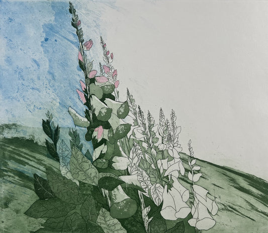 Axmann, Elisabeth, Digitalis, 38 x 42,7cm, Farbradierung